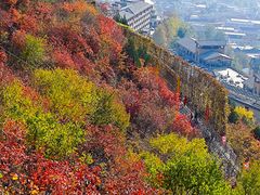 -狼牙山风景区
