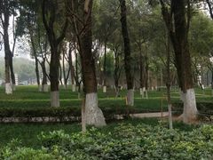 -重庆市江北嘴中央商务区中央公园