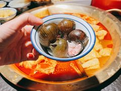 -九鼎轩脆毛肚火锅(南京东路店)