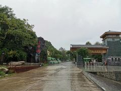 -青峰峡国家森林公园