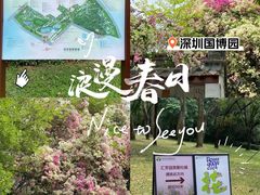 -深圳国际园林花卉博览园