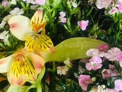 -昆明国际花卉拍卖交易中心