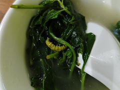 -石岐乳鸽村(南海第三分店)
