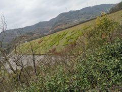 -东海大峡谷