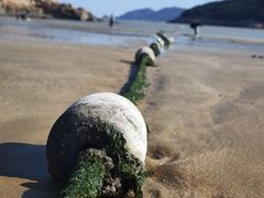 -宁波松兰山滨海旅游度假区