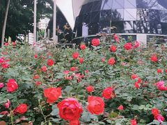 -人民公园(罗湖区)