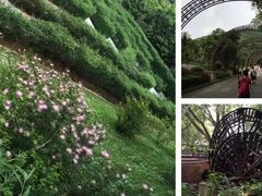 -大屏嶂森林公园