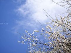 -石棉县孟获城