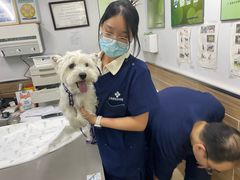 -爱侣宠医·鹦鹉专科·小型哺乳类·异宠专科(灵石路店)