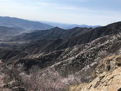 -北京鹫峰国家森林公园