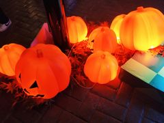 -郑州方特梦幻王国