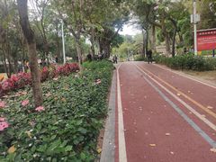 -炮台山公园