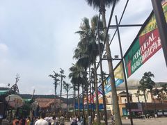 -重庆海昌加勒比海水世界
