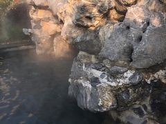 -苏州湾王焰温泉度假酒店