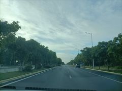 -北海金海湾红树林生态旅游区