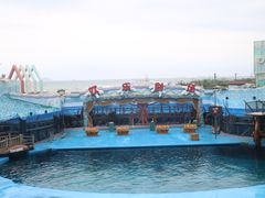 -海合安青岛极地海洋公园