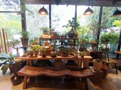 -自由生长植物工作室(深港花卉中心店)