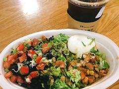 -油梨树AVOCADO TREE(望京店)
