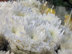 -循礼门鲜花花市(武汉循礼门店)