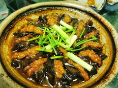 石斑鱼茄子煲-齐海鱼圣深海石斑鱼火锅店(极地海洋世界店)