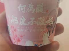 -大鸭梨烤鸭(金色漫香店)