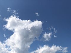 -无有景观餐厅·铜瓢牛肉·下午茶