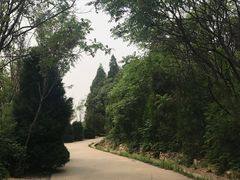-府君山公园