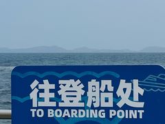 -杨梅坑