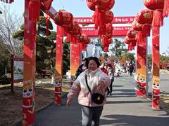 -武汉紫薇都市田园