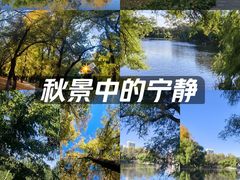 -龙沙公园