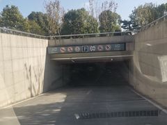 -闵行文化公园-停车场