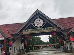 -上海海湾国家森林公园