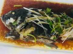 -渡海小渔村.老辈日照菜