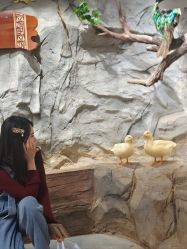 -Zoolung Zoolung动物主题公园(海信广场店)