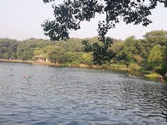 -紫霞湖公园
