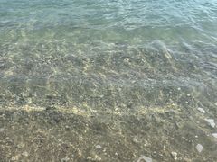 -花海间·即刻露营