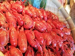 -嘉定凯悦·咖啡厅