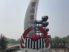 -微山湖红荷湿地景区