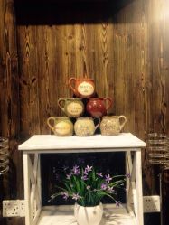 星野形象-星野形象