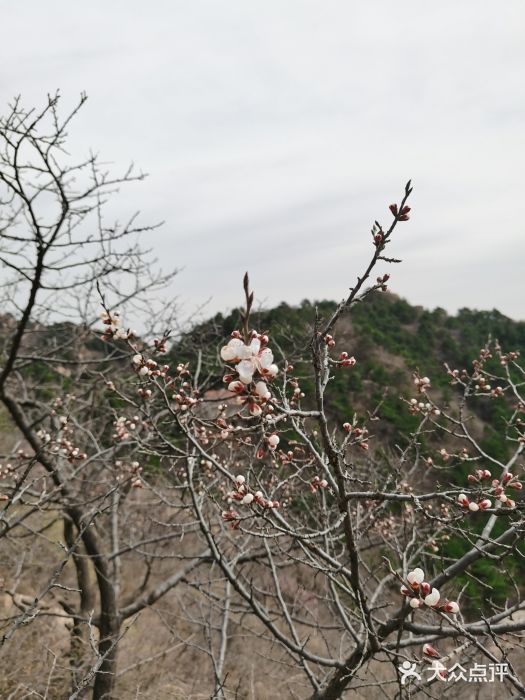 云峰山自然风景区图片