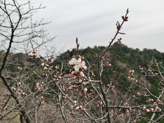-云峰山自然风景区
