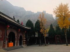 -青龙山生态文化旅游区(慈云寺)