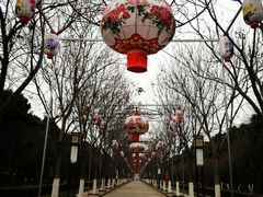 -洛阳市隋唐城遗址植物园
