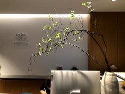 -安吉拉青春化管理中心