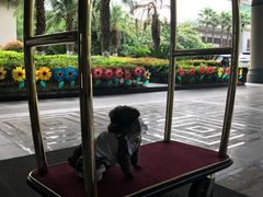 -宁波九龙湖开元度假村