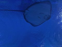 -海合安武汉极地海洋公园