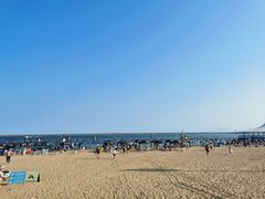 -碧海金沙