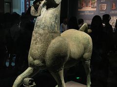 -广西壮族自治区博物馆