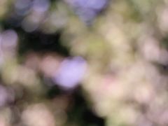 -钟山体育运动公园