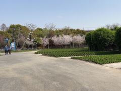 -上海杨姆庄园